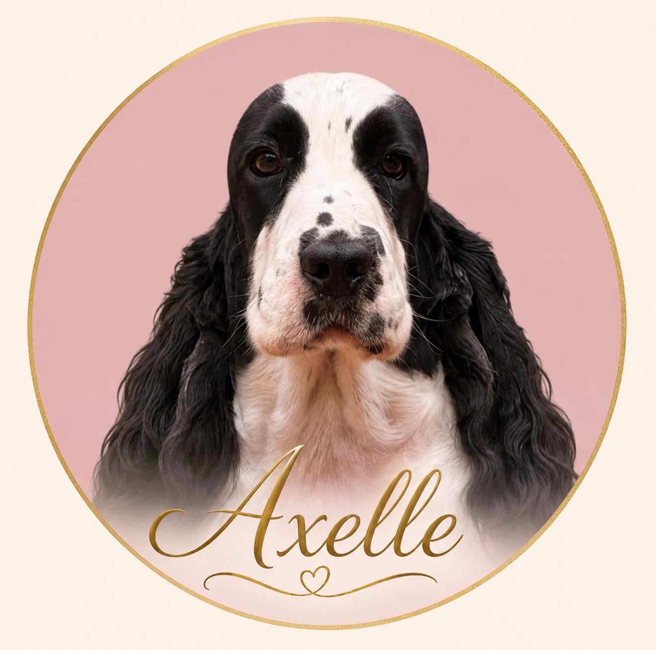 AXELLE  Des Hurlevents De Nuas