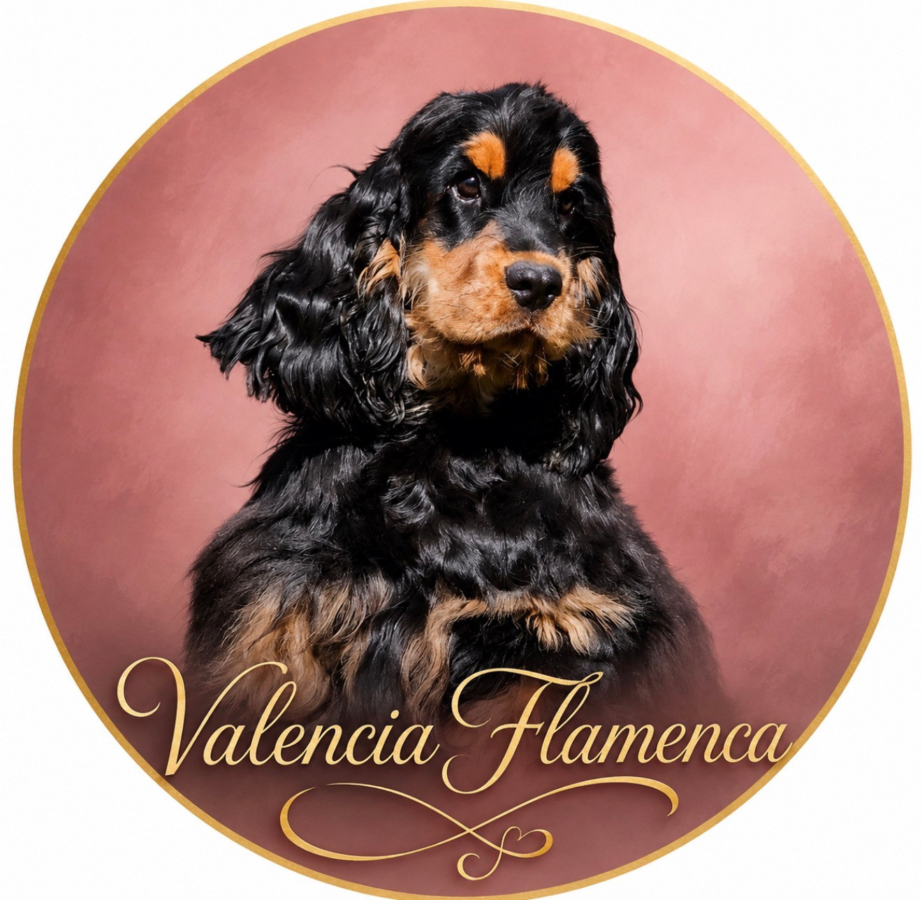 VALENCIA FLAMENCA  Des Hurlevents De Nuas