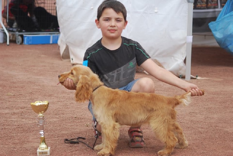 chien