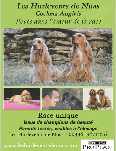 Des Hurlevents De Nuas